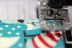 Pfaffblog Januar 2016 – 06