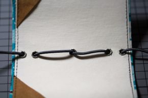 Pfaffblog Januar 2016 – 10