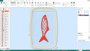 Sardine 1