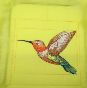 Pfaff-hummingbird-2