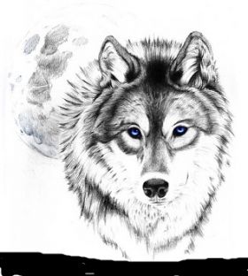 Wolf-tattoo-art1